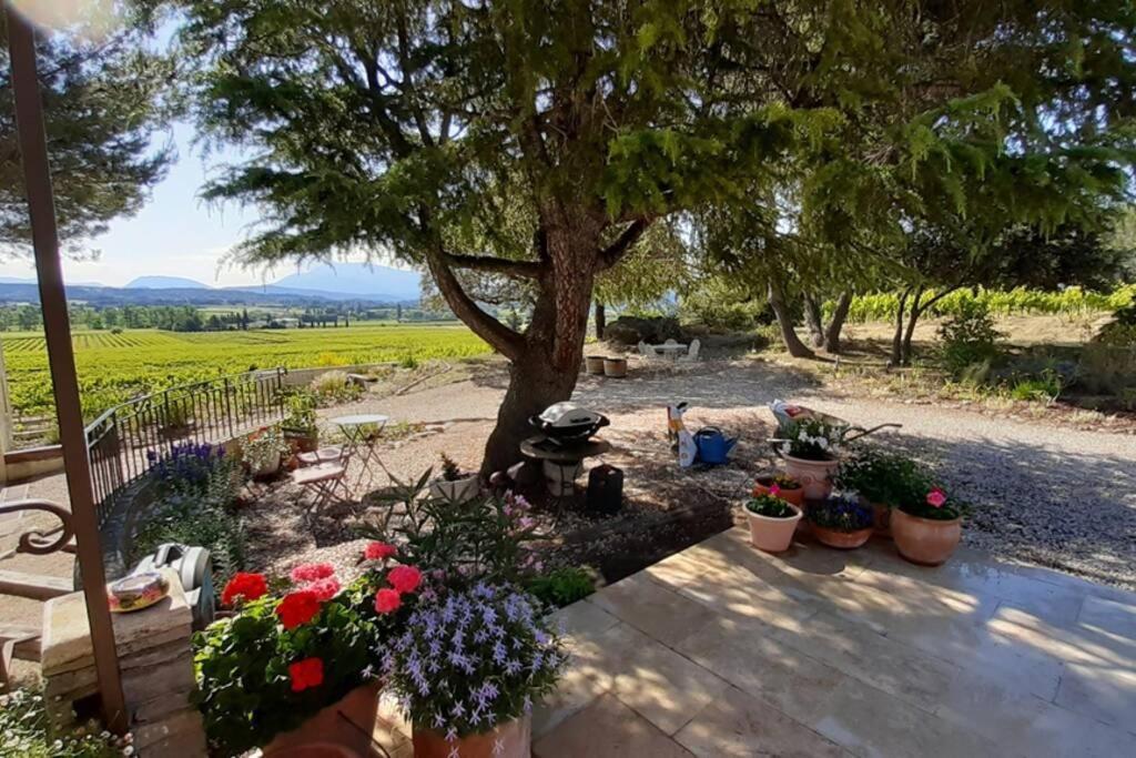 Le Clos Des Pins, Vue Mont Ventoux Roaix Εξωτερικό φωτογραφία