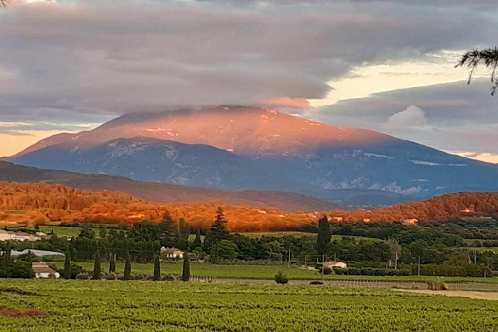 Le Clos Des Pins, Vue Mont Ventoux Roaix Εξωτερικό φωτογραφία